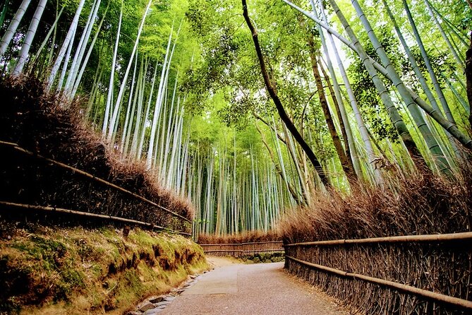 Arashiyama Walking Tour - Bamboo Forest, Monkey Park & Secrets - Common questions