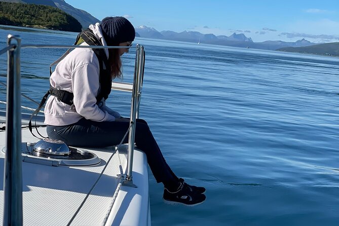 Arctic Fjordcruise & Safari in Tromso With Luxury Catamaran - Safety Measures and Regulations