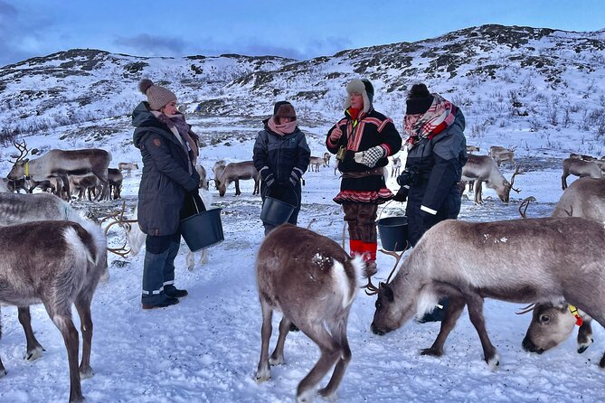 Arctic Fjords and Reindeer Experience – Small Group Tour - - Directions and Itinerary