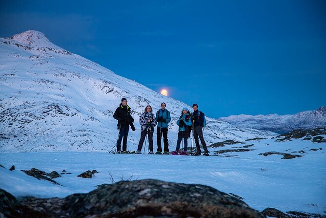 Arctic Landscapes Hiking Tour - Sightseeing & Snowshoeing, Tromsø - Photo Gallery