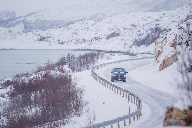 Arctic Roadtrip: Fjords With Scenic Picnic Sightseeing - Customer Reviews and Highlights