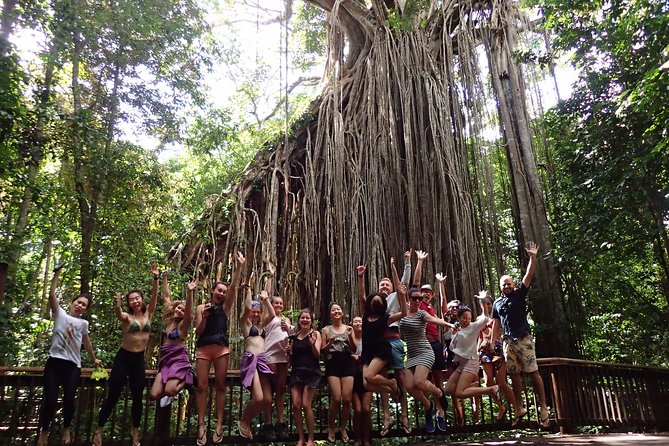 Atherton Tablelands Waterfall Adventure From Cairns - Last Words