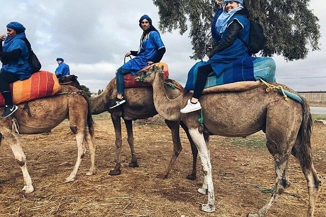 Atlas Mountain & Berber Villages and Waterfalls Day Trip From Marrakech - Hassle-Free Pick-Up Service