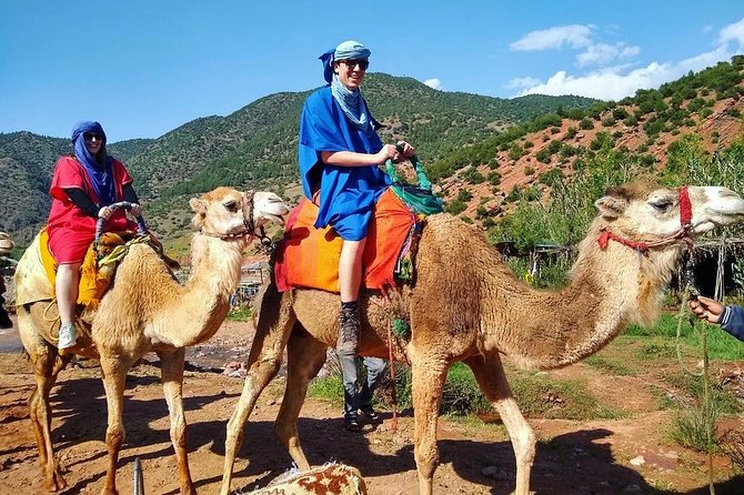 Atlas Mountains and Berber Villages Day Trip From Marrakech With Lunch - Guided Tour Details