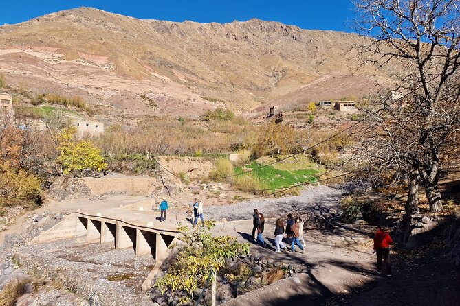 Atlas Mountains Three Valley and Berber Villages & Watterffalls Day Tour - Customer Reviews