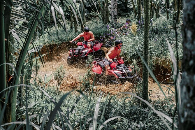 ATV Quad Bike Bali With Waterfall Gorilla Cave and Lunch - Last Words