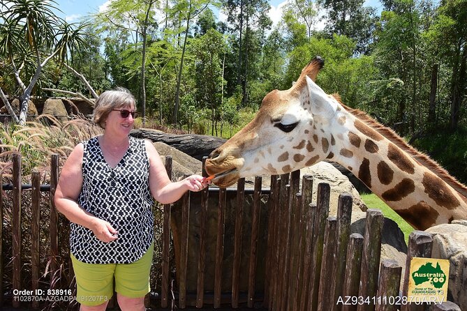 Australia Zoo Day Trip From Brisbane - Highlights of Australia Zoo