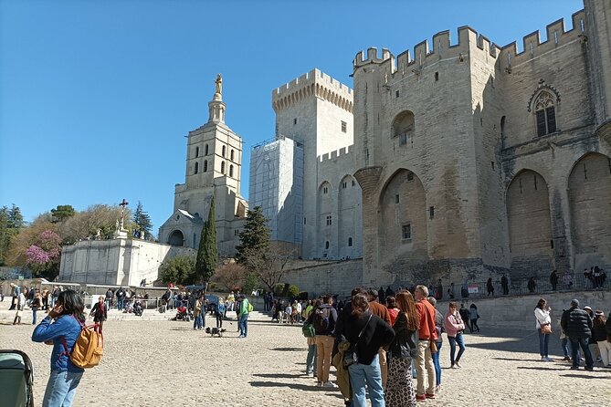 Avignon Private Tour - Reviews and Rating Overview