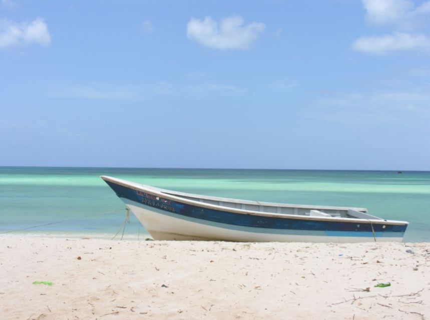 Bahía De Las Aguilas: Beach Day Trip by Boat - Snorkeling and Swimming