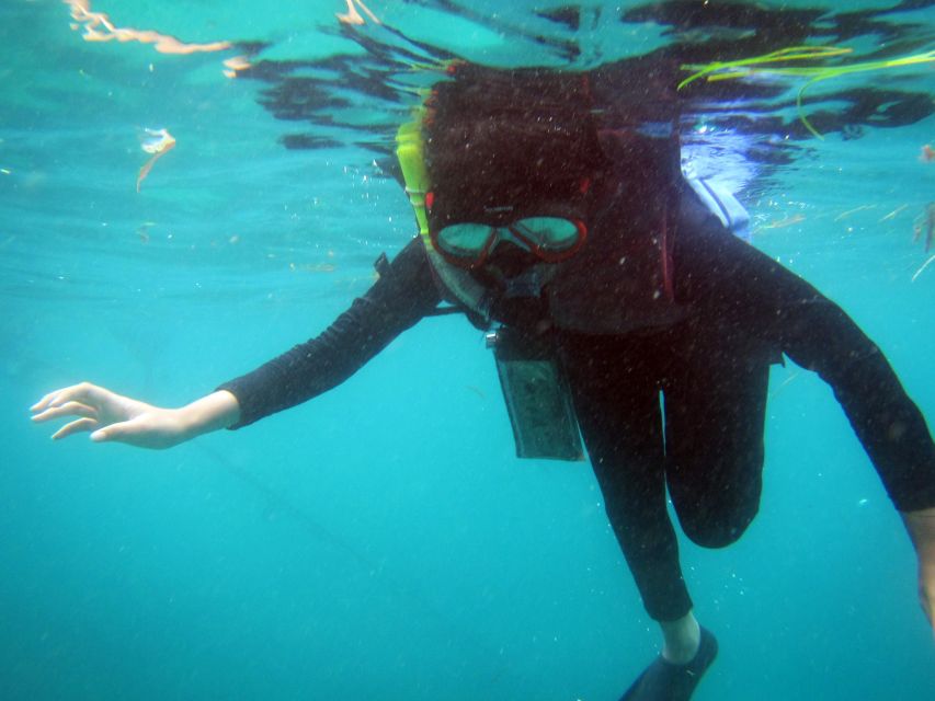 Bali: 1 Hour Snorkeling at Nusa Dua Beach - Expert Guidance and Marine Life