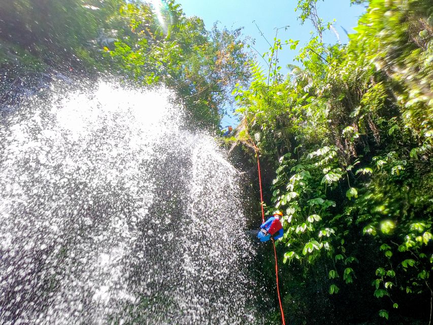 Bali: Alam Canyon The Natural Canyoning Adventure - Common questions