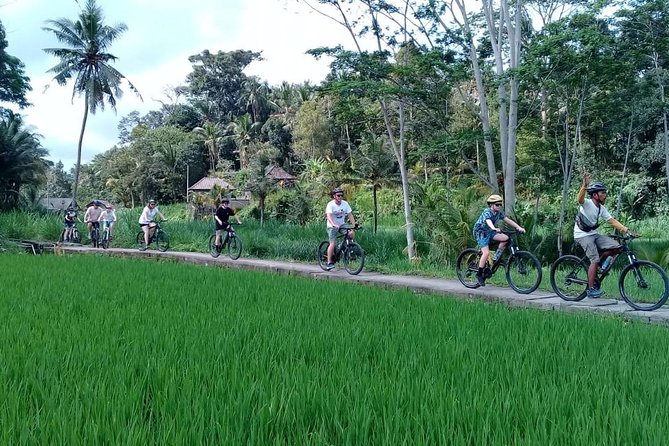 Bali Countryside Cycling Adventure - Local Culture and Scenery Highlights