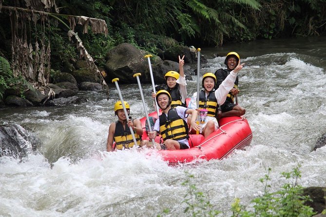 Bali Jungle Swing and White Water Rafting All Inclusive - Last Words