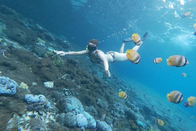 Bali Private Snorkeling (Manta, Gamat, Crystal) and Nusa Penida Tour - Booking Procedures