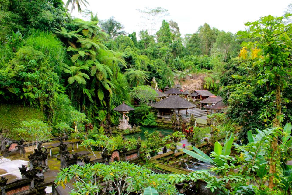 Bali: Ubud Rice Terraces, Temples and Volcano Day Trip - Additional Information