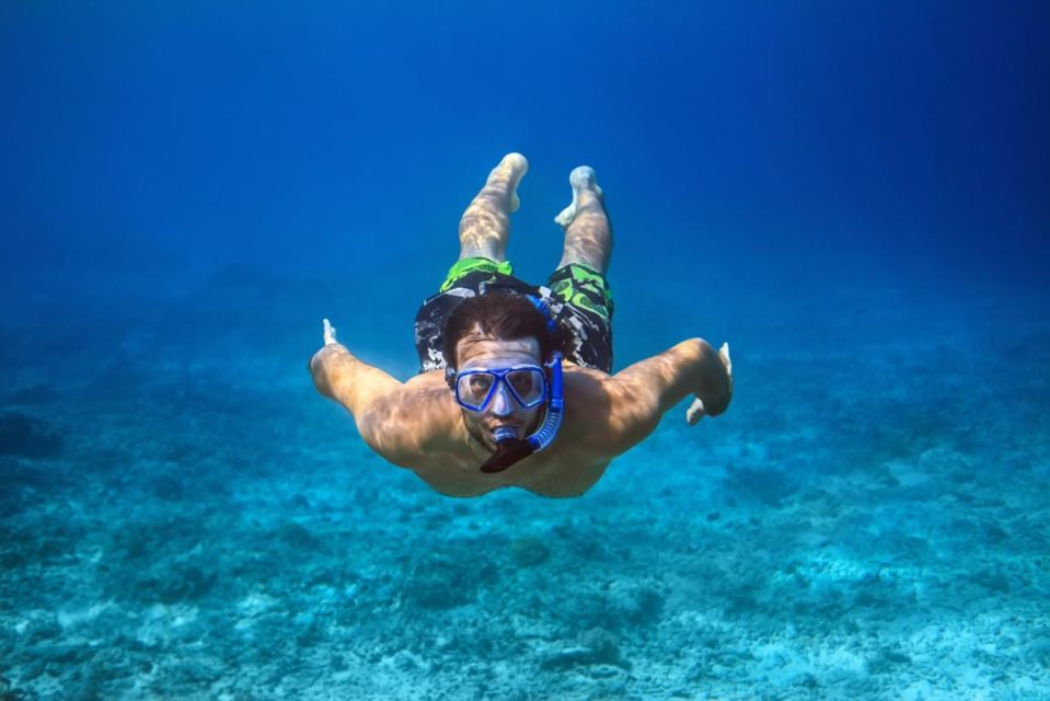 Bali: Watching Dolphin,Snorkeling & Hot Spring - Key Considerations