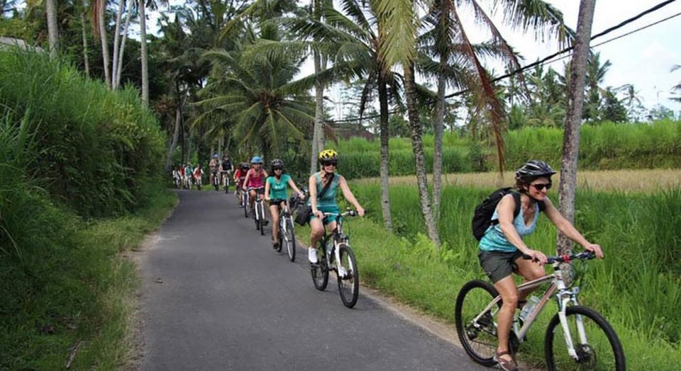 Bali: White Water Rafting & Cycling Tour - All Inclusive - Buffet Lunch Details