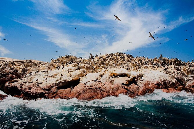 Ballestas Islands & National Reserve of Paracas From Ica - Common questions