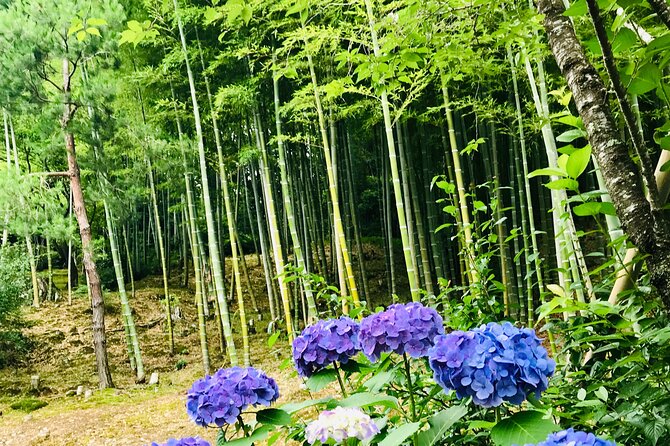 Bamboo LED Lantern Making Experience in Kyoto Arashiyama - Meeting and Pickup