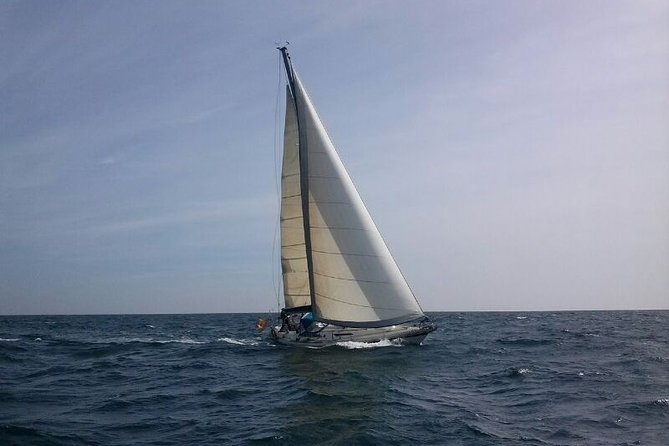 Barcelona: Small-Group Sailing and Swimming Along the Coast - Last Words