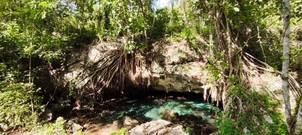 Bayahibe: National Park Jungle Walk & Snorkeling in Cenotes - Diverse Language Inclusion