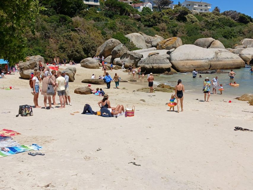 Beach Day at Boulder's Beach & Penguin Watching, Half Day - Additional Information