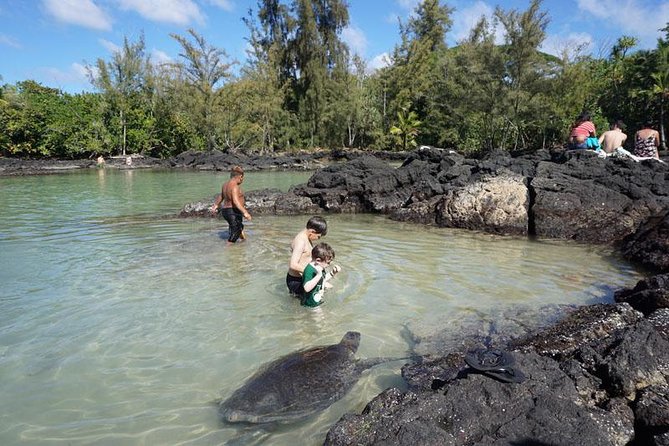 Beach Snorkel - Sea Turtle and Black Sand Lagoon - Common questions