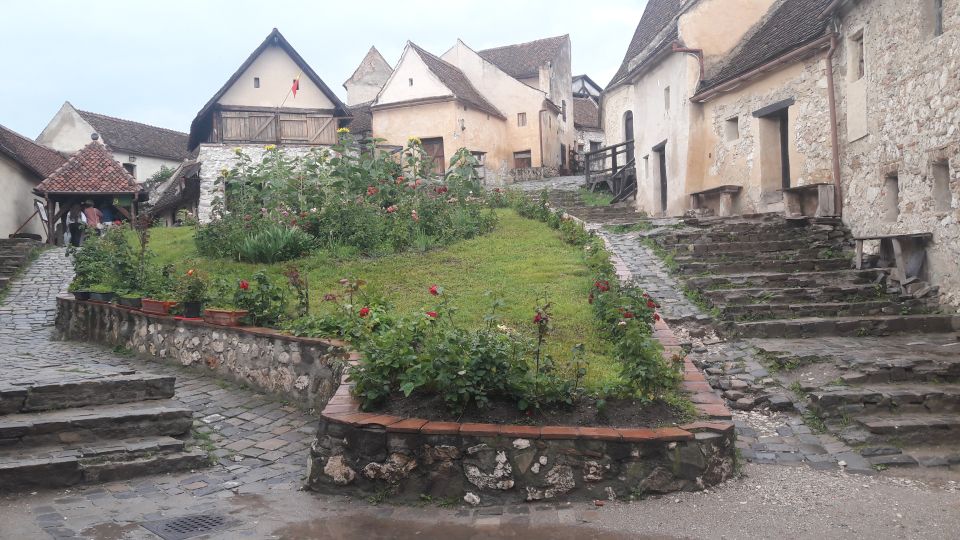 Bear Sanctuary-Bran Castle-Rasnov Fortress From Brasov - Directions