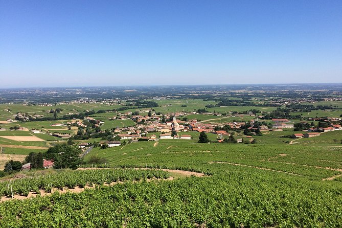 Beaujolais Crus Wines & Castles (9:00 Am - 1:30 Pm) - Small Group Tour From Lyon - Pricing Information