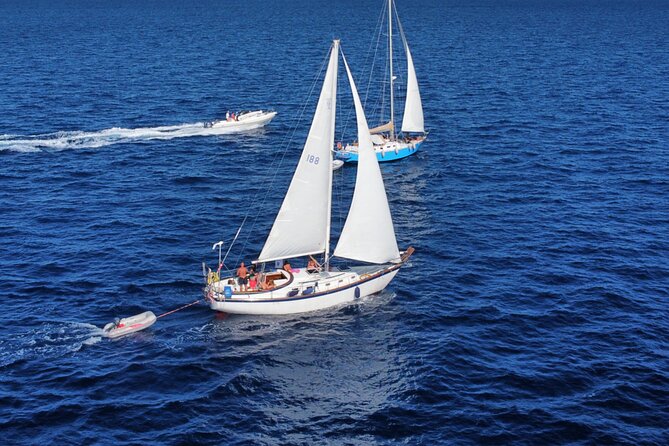 Become a Member and Sail La Maddalena Archipelago (From Palau) - Directions and Meeting Point
