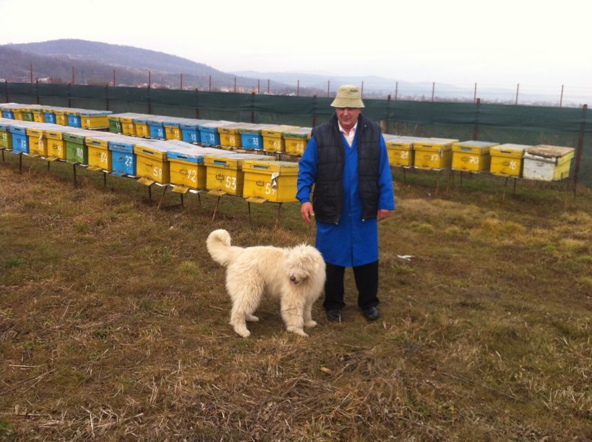 Bees in Romania - Private Beekeeping Lesson and Local Lunch - Common questions