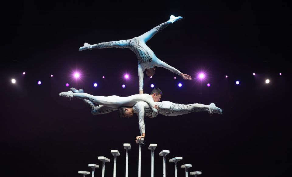 Beijing Night Tour With Acrobatics Show & Pekingduck Dinner - Cancellation Policy