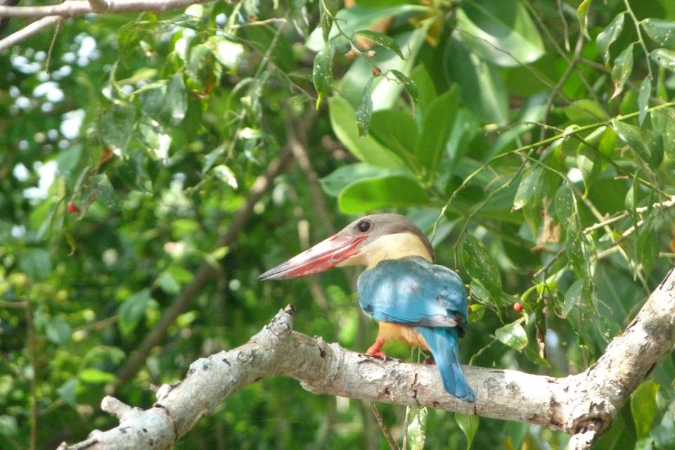 Bentota: Mangrove Lagoon and River Cruise - Activity Duration and Starting Times