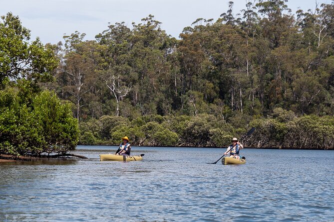 Bermagui River Kayak Tour - Pricing Details