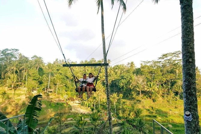 Best of Bali Jungle Swing With Ubud Sightseeing Tour - Booking Information and Pricing