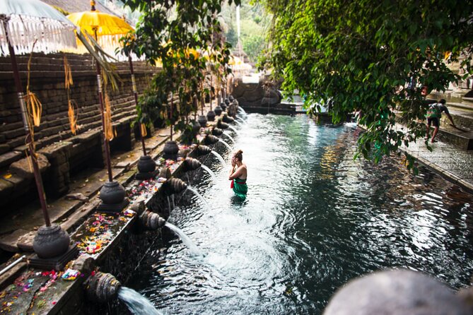 Best of Ubud Tour : All Inclusive & Private Trip - Traveler Engagement Features