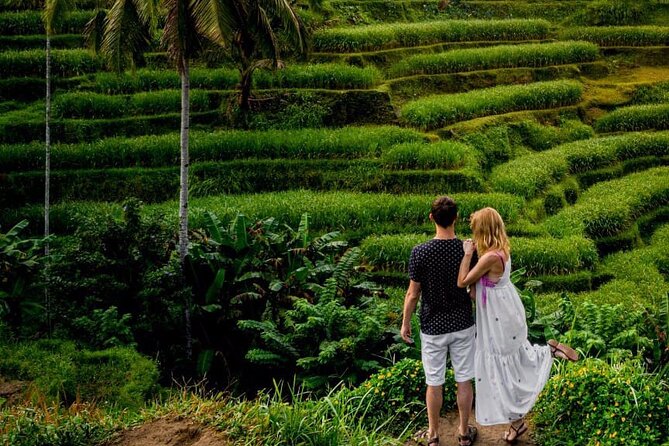 Best of Ubud With Monkey Forest, Rice Terrace, Temple, Waterfall - Common questions