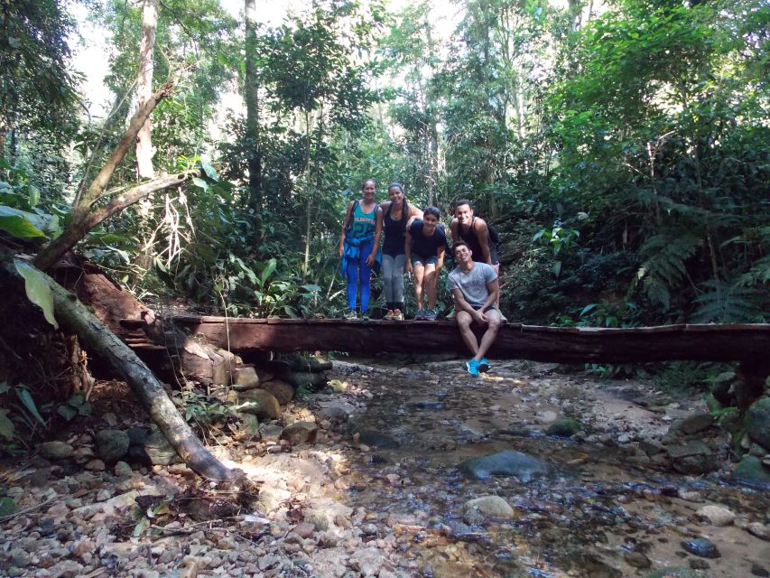 Bico Do Papagaio Guided Hiking Tour in the Tijuca Forest - Common questions