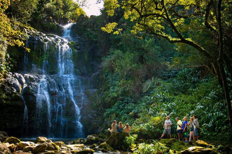 Big Island: Full-Day Kohala Zipline and Waterfall Adventure - Tour Inclusions