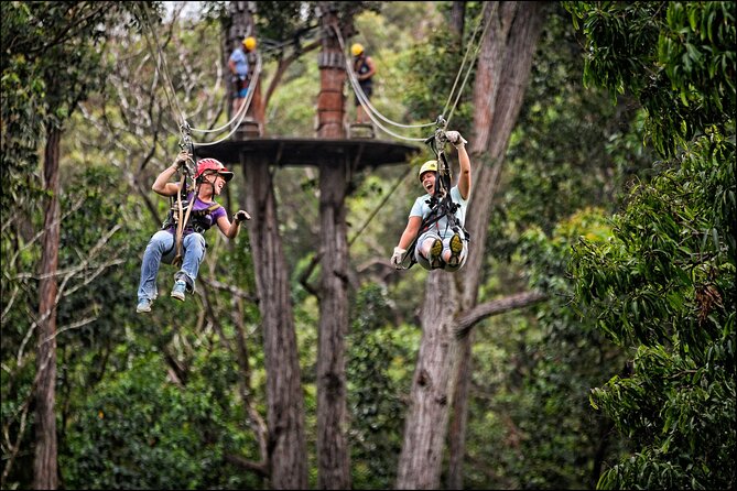 Big Island Kohala Zip and Dip Tour From Kona - Last Words