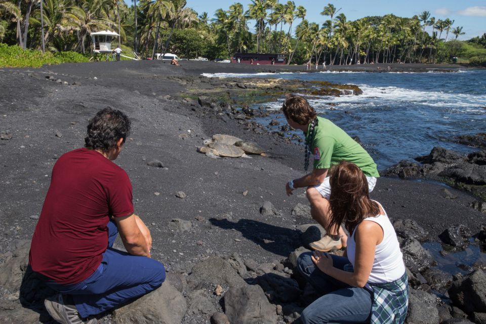 Big Island: Volcanoes, Waterfalls, & Coffee Farm Day-Trip - Customer Reviews & Recommendations