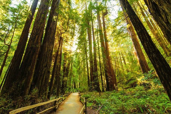 Bike the Golden Gate Bridge and Shuttle Tour to Muir Woods - Customer Feedback