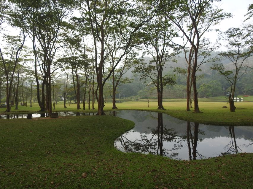 Bird Watching Day Tour - Pick up and Drop From the Hotel - Essential Tour Inclusions