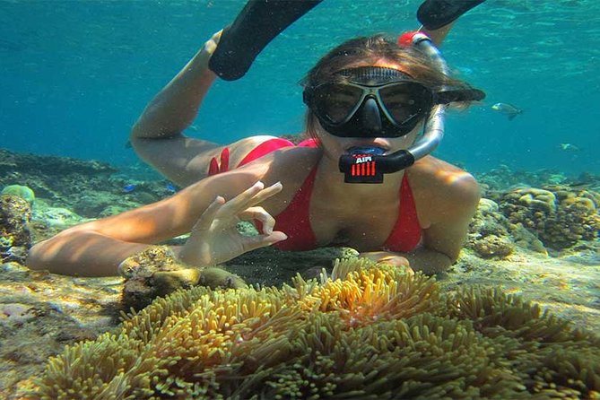 Blue Lagoon Bali Snorkeling Activities All Inclusive - Additional Information and Details