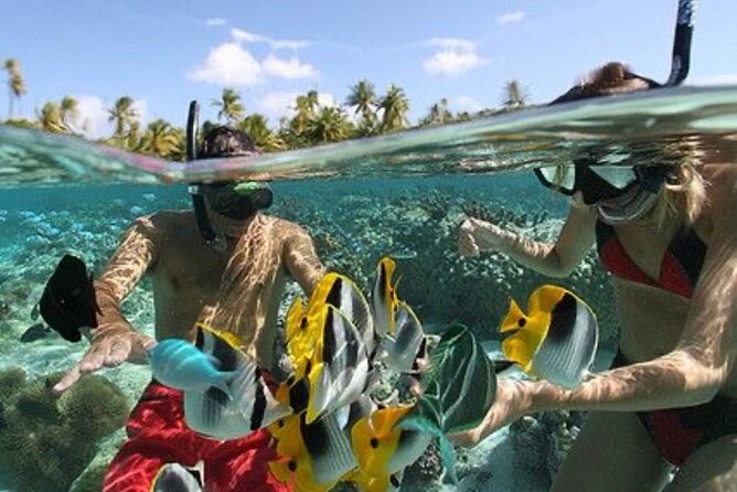 Blue Lagoon Snorkeling - Lunch - Kantolampo - Tibumana Waterfall - Practical Information and Tips