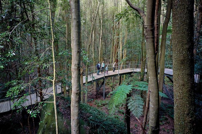 Blue Mountains Small-Group Tour From Sydney With Scenic World,Sydney Zoo & Ferry - Sydney Zoo Visit