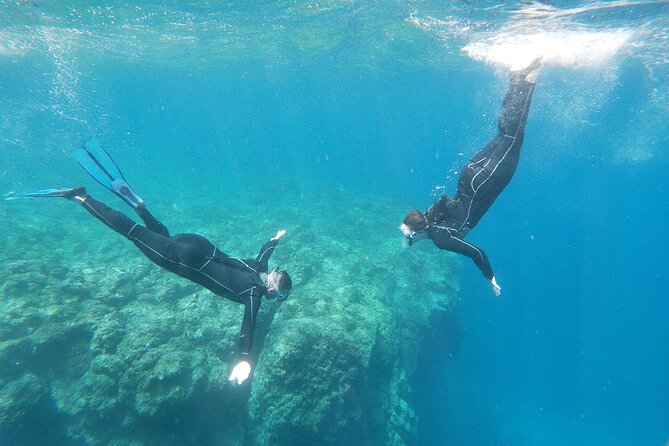 Boat Excursion to Visit Underwater Lava Tongues - Traveler Recommendations