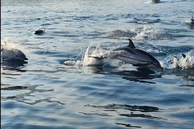 Boat Excursions Taormina Giardini Naxos Beautiful Island - Customer Support and Contact Information