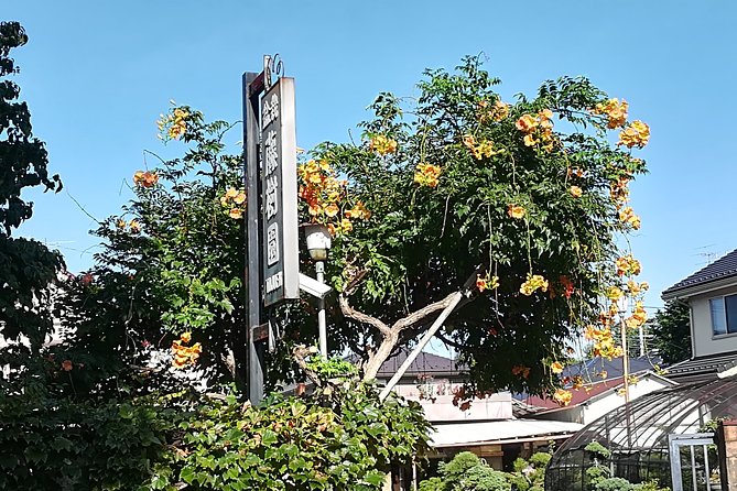 Bonsai Museum & Bonsai Experience - Tour Recommendation & Feedback