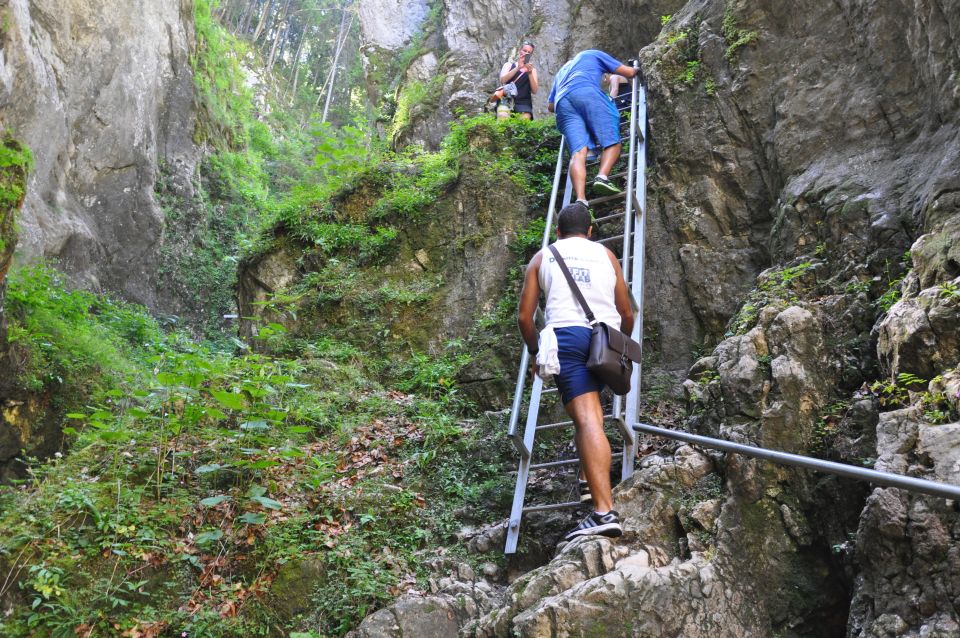 Brasov: Small-Group 7 Ladders Canyon Day Trip - Directions